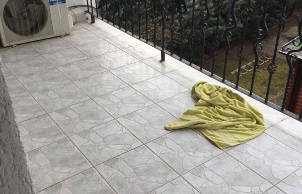 20170314_095059720_iOS