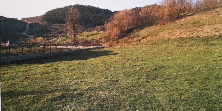 20150423_145454