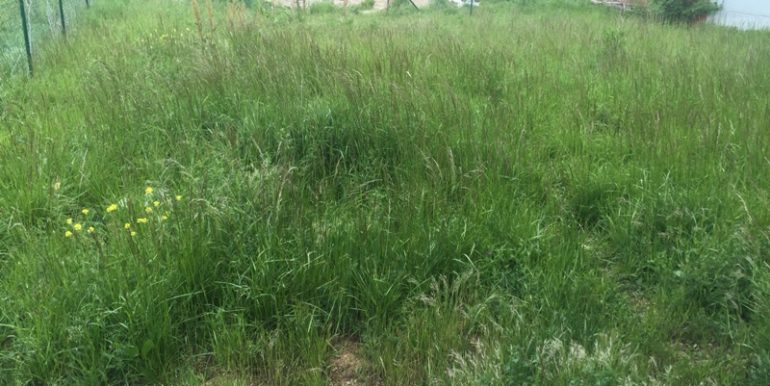 20160507_104304444_iOS