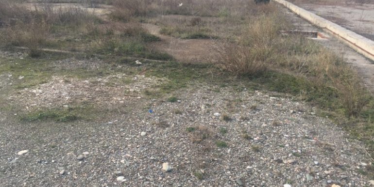 20161104_134633697_iOS