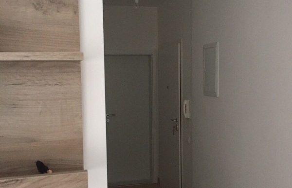 20170118_130507023_iOS