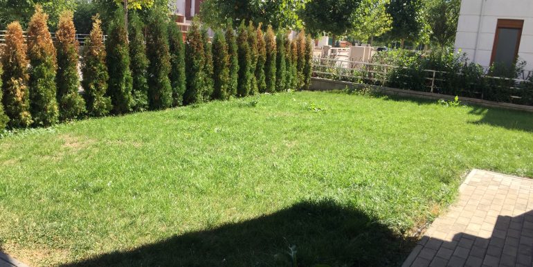 20170915_101641115_iOS