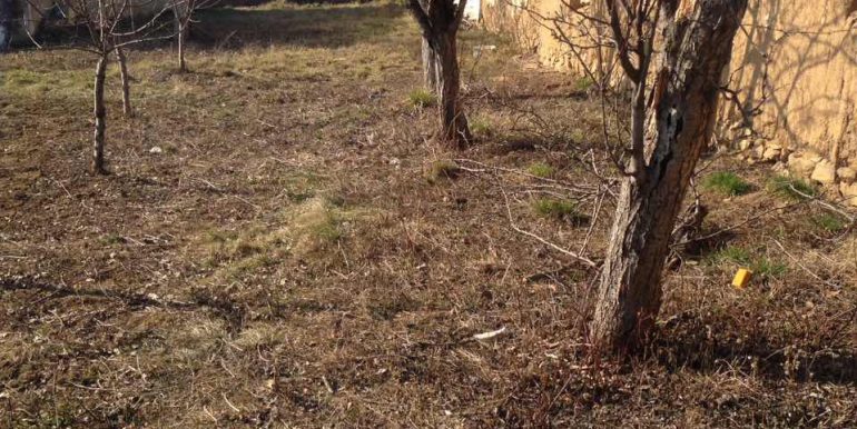 20190304_111948171_iOS