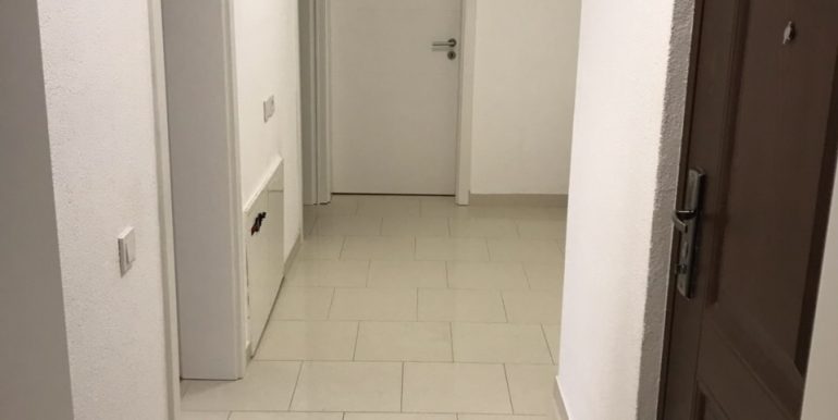 20190311_132926830_iOS