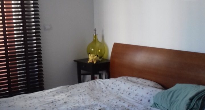 20190815_130156878_iOS